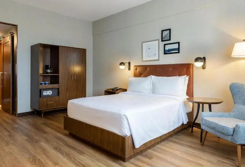 キングサイドベッドのスタンダードワンルーム, Four Points By Sheraton Monterrey Airport