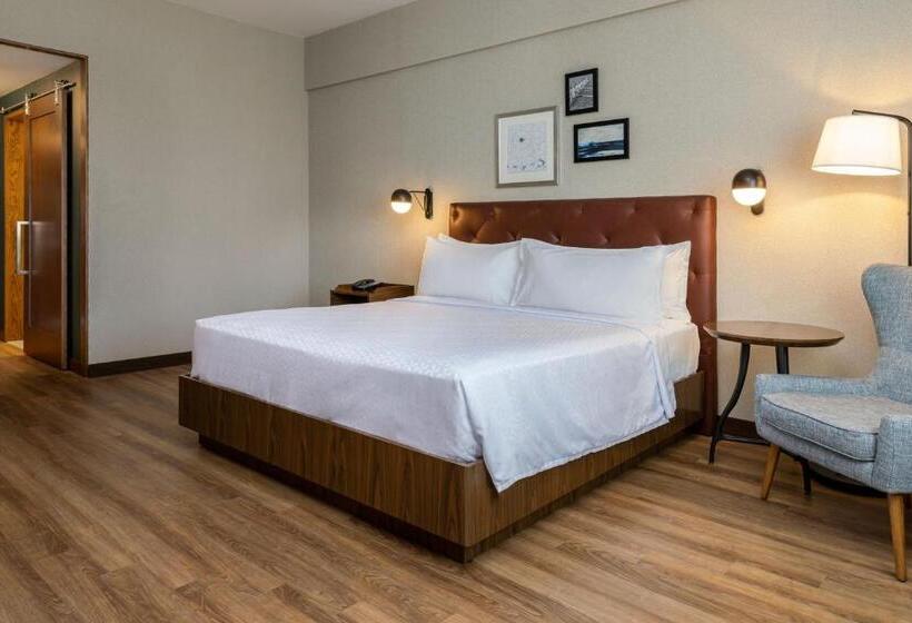 带大床的标准工作室, Four Points By Sheraton Monterrey Airport