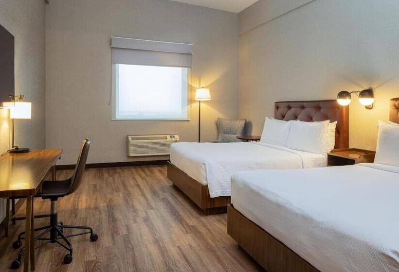 高级客房, Four Points By Sheraton Monterrey Airport