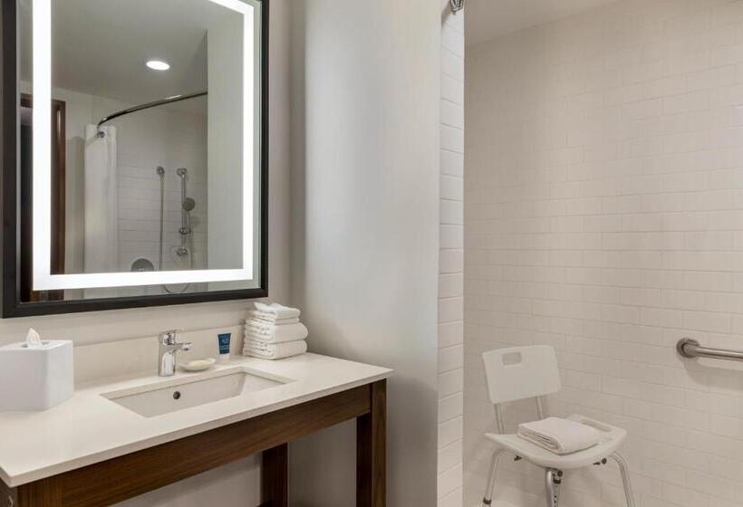适合残疾人使用的标准间, Four Points By Sheraton Monterrey Airport