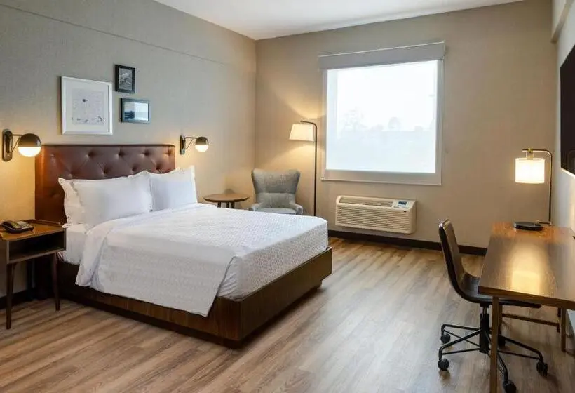 身障者適用スタンダードルーム, Four Points By Sheraton Monterrey Airport