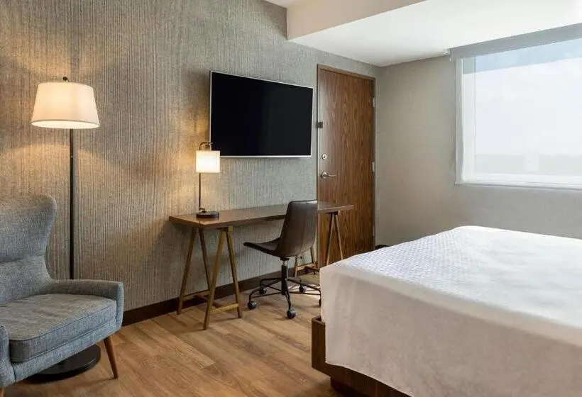 キングサイズベッドのエクゼクティブルーム, Four Points By Sheraton Monterrey Airport