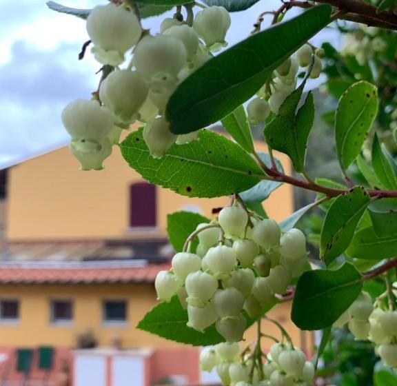 اتاق استاندارد, B&b La Fucinaia Pet Friendly Adults Only