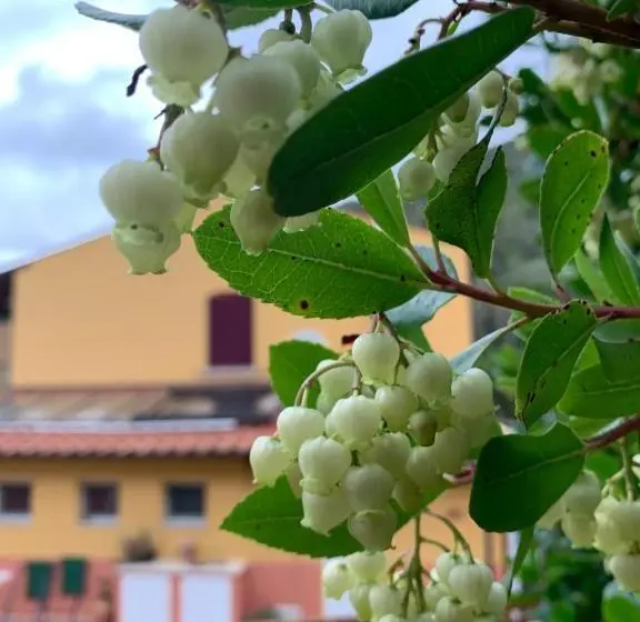 スタンダードルーム, B&b La Fucinaia Pet Friendly Adults Only