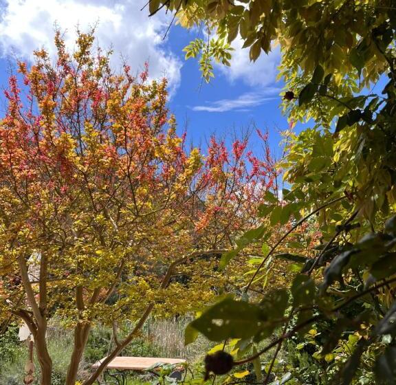 اتاق استاندارد با تخت بزرگ, B&b La Fucinaia Pet Friendly Adults Only