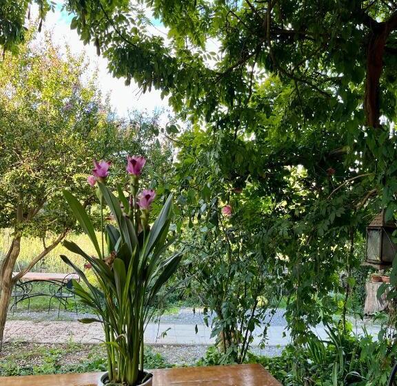 اتاق استاندارد با تخت بزرگ, B&b La Fucinaia Pet Friendly Adults Only