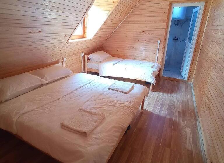 베이직 3인 룸, Bujtina Albjoni