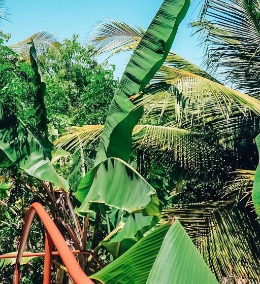 Стандартный Номер Кровать Кинг, Kizikula