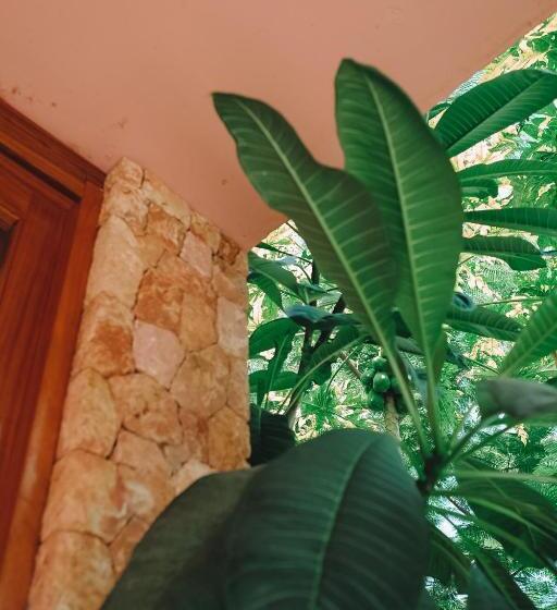 Номер Стандарт Вид на Сад, Kizikula