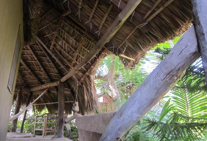 スイート, Castillo Oasis