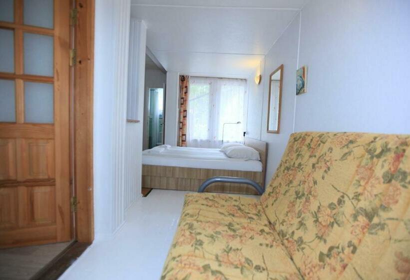 استودیوی استاندارد, Vila Inga