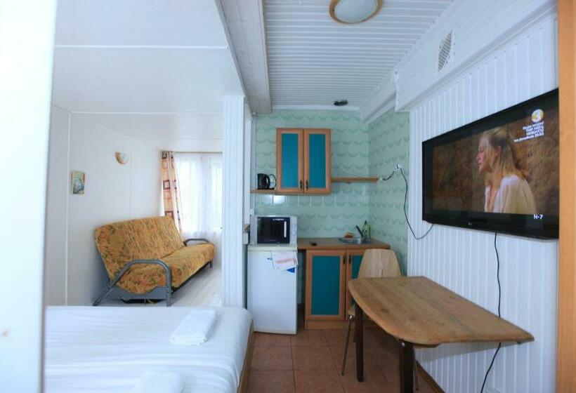 استودیوی استاندارد, Vila Inga