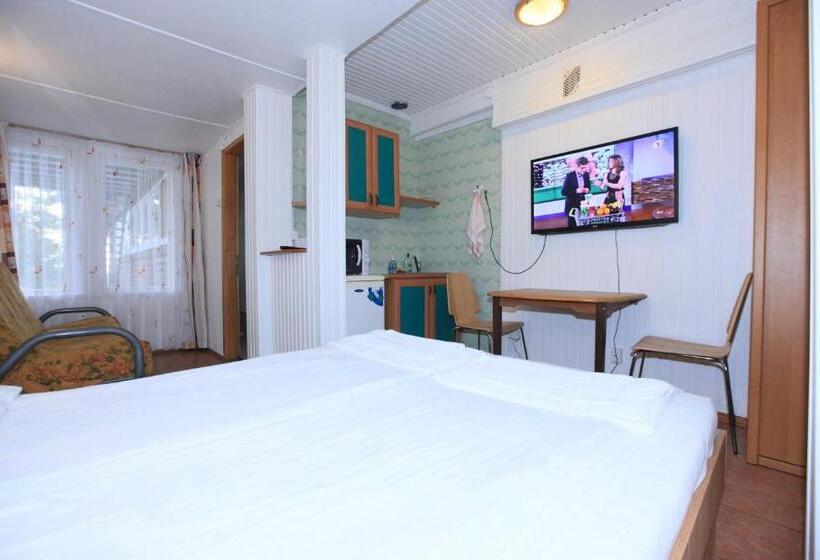 استودیوی استاندارد, Vila Inga