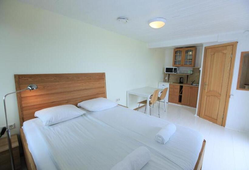 استودیو استاندارد با بالکن, Vila Inga