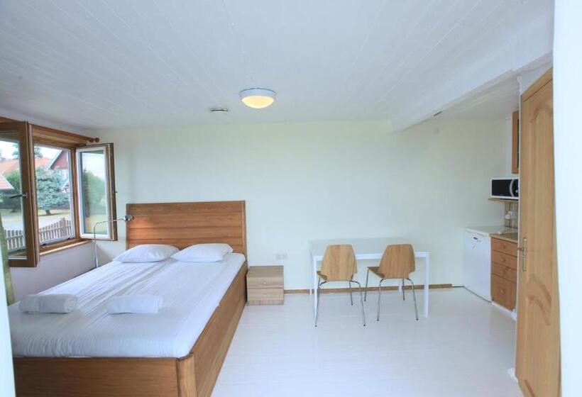 استودیو استاندارد با بالکن, Vila Inga