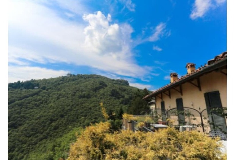 Номер Стандарт, Colonne