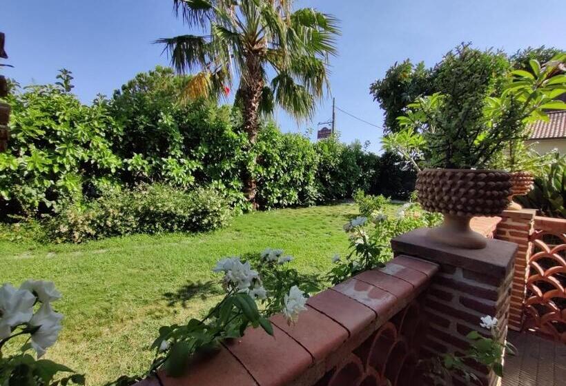 استودیوی استاندارد, Villa Delle Palme