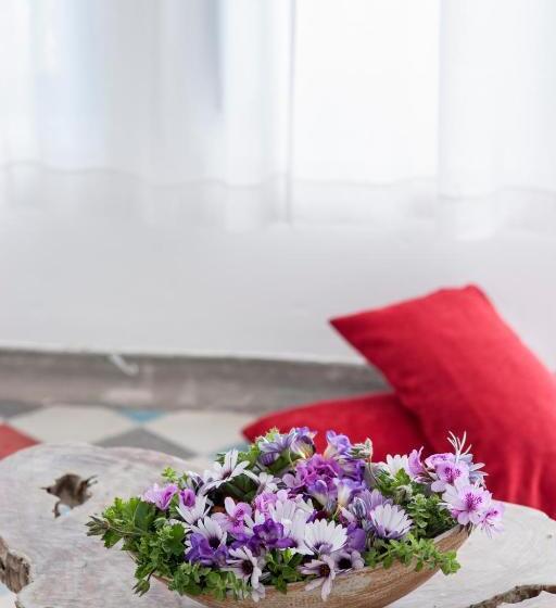 전용 풀장 스위트, Ikastikies Suites
