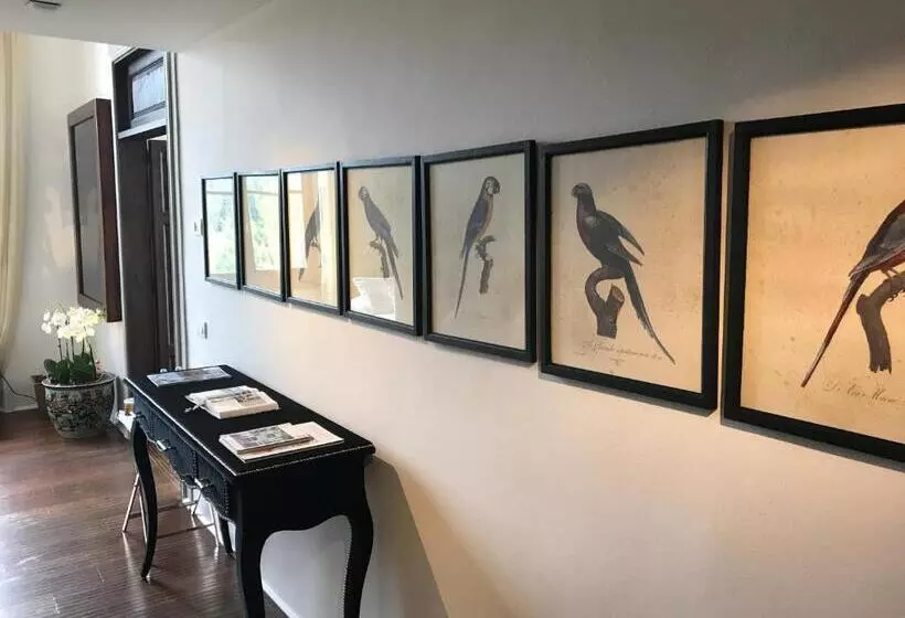 سوئیت جونیور با چشمانداز, Il Salviatino Firenze