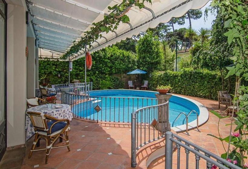 エコノミールーム, Kyrton