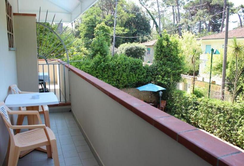 スタンダードルーム, Kyrton