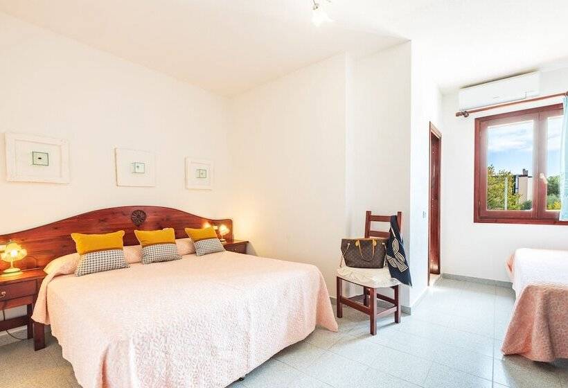 غرفة قياسية, S Ortale