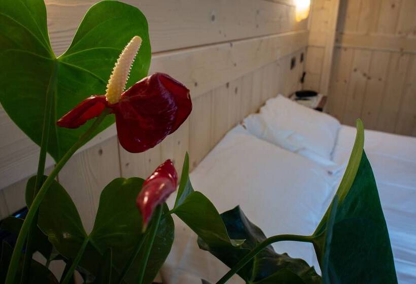 스탠다드 룸, Santa San