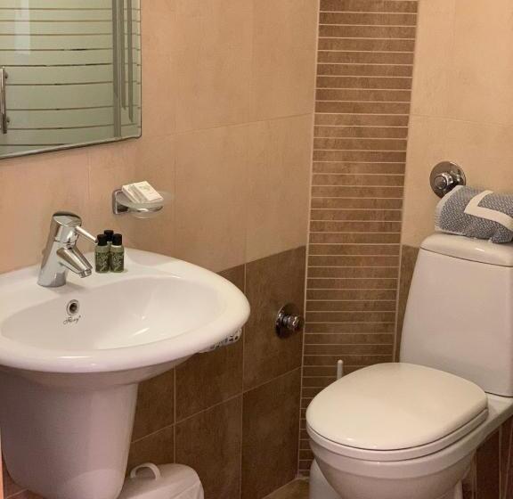 Номер Стандарт Трехместный, Saronis