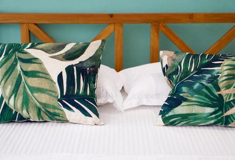 컴포트 트리플 룸, Agora Bed & Breakfast