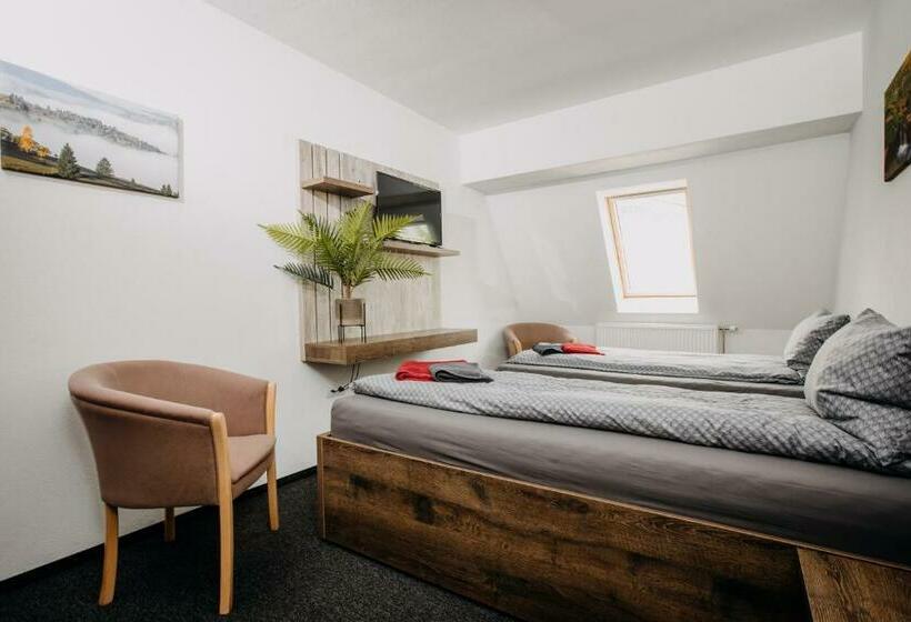 4인용 스탠다드 룸, Pálya