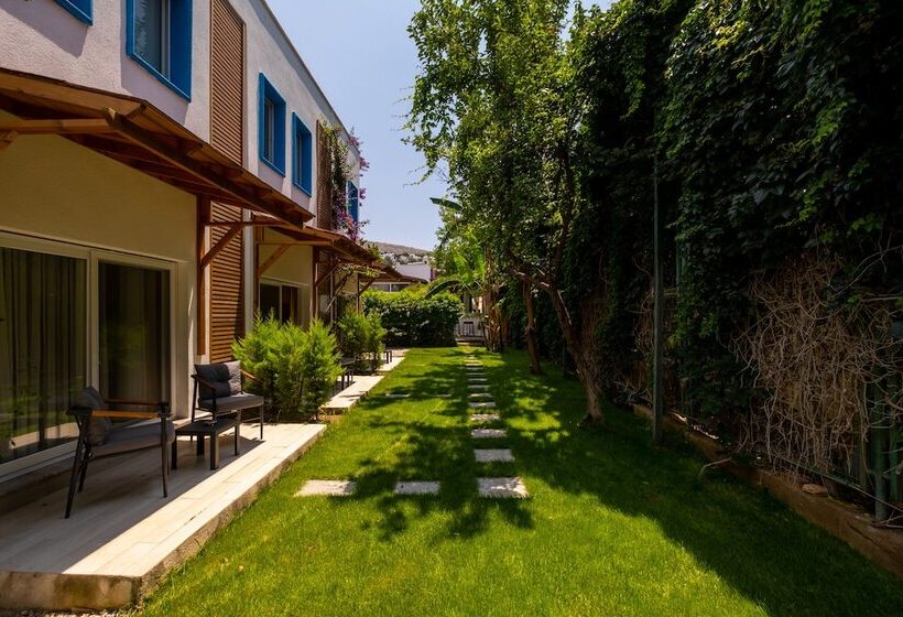 Номер Стандарт, Costa Bodrum City