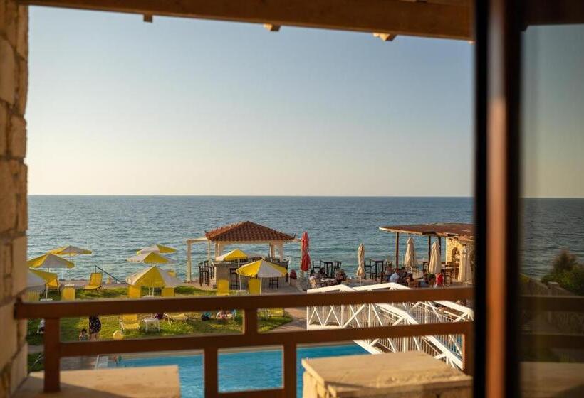 标准工作室, Ekavi