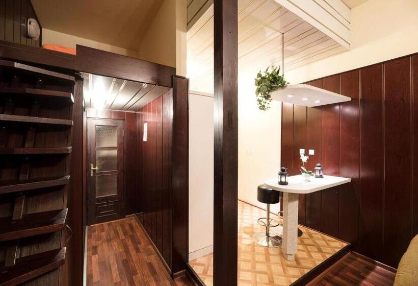 带1个卧室的豪华公寓, Golden Lion Guest Rooms Szewska 19