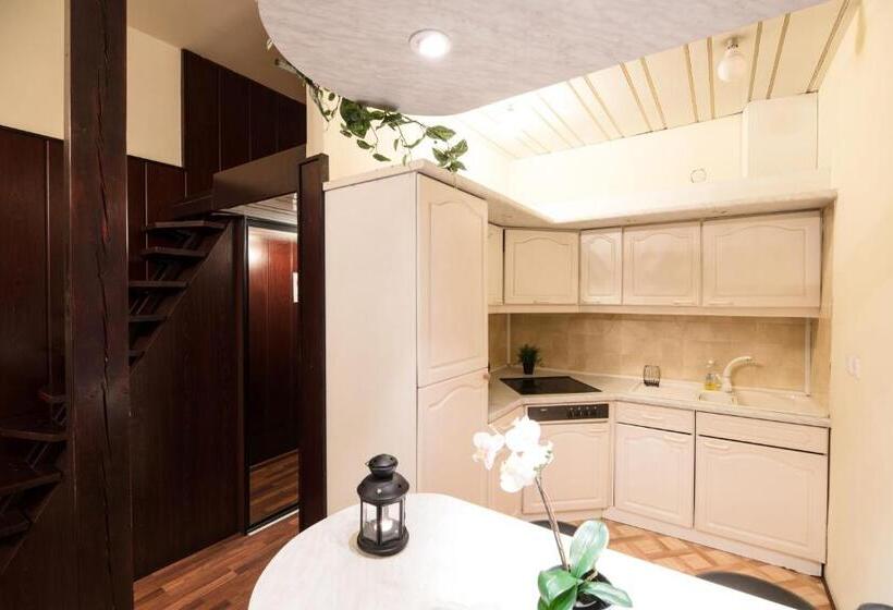 带1个卧室的豪华公寓, Golden Lion Guest Rooms Szewska 19