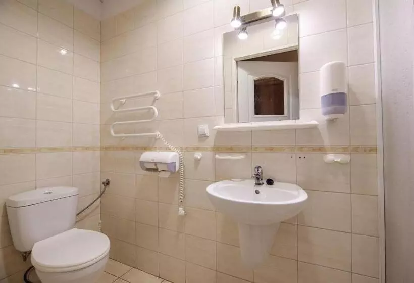 １ベッドルームアパートメント, Golden Lion Guest Rooms Szewska 19