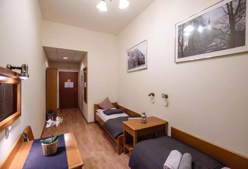 １ベッドルームアパートメント, Golden Lion Guest Rooms Szewska 19
