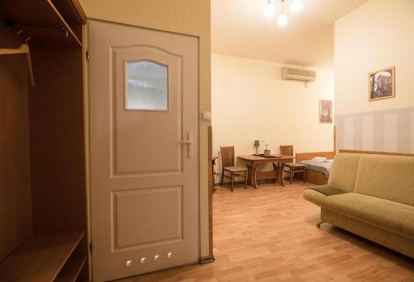 带1个卧室的公寓, Golden Lion Guest Rooms Szewska 19