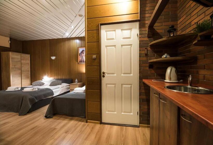 带1个卧室的豪华公寓, Golden Lion Guest Rooms Szewska 19