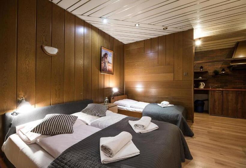 带1个卧室的豪华公寓, Golden Lion Guest Rooms Szewska 19