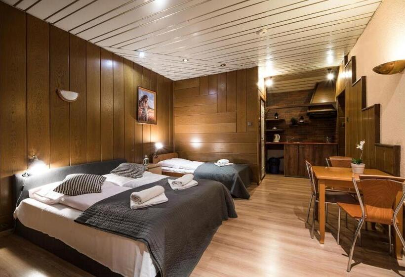 带1个卧室的豪华公寓, Golden Lion Guest Rooms Szewska 19