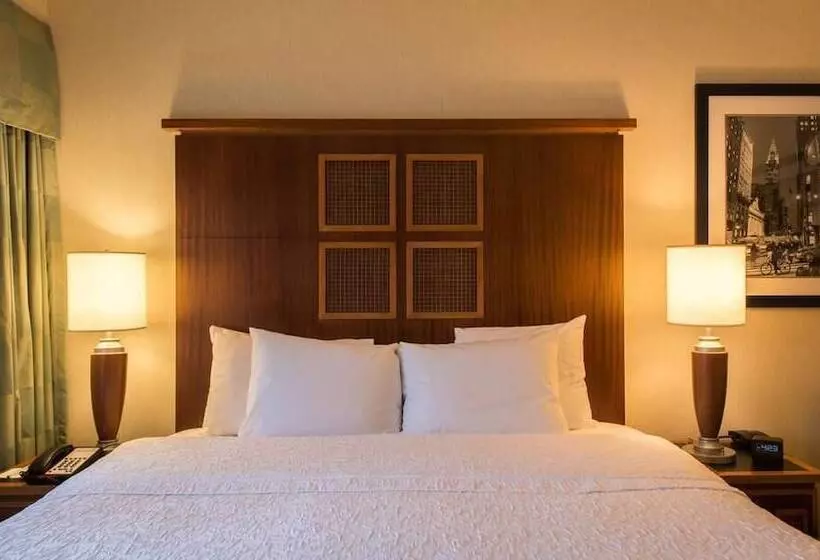 اتاق دلوکس مخصوص معلولین, Soho 54