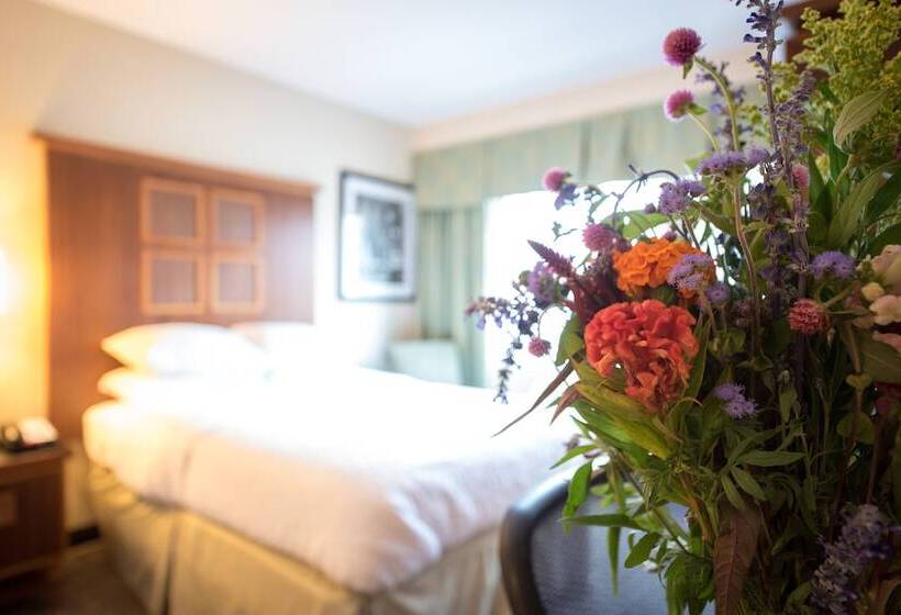 适用于残疾人士的豪华房间, Soho 54