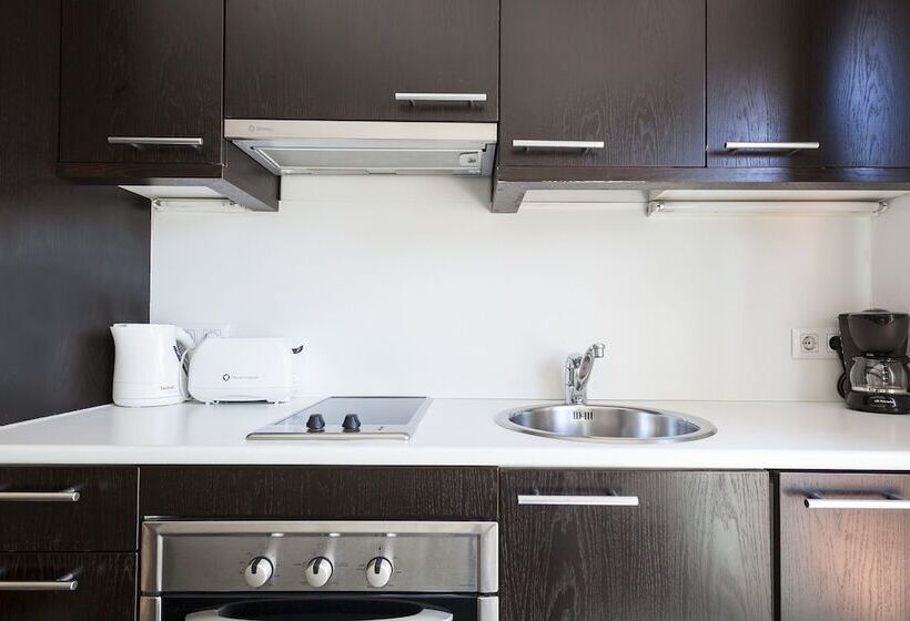 استودیو استاندارد با تراس, Inside Barcelona Apartments Esparteria