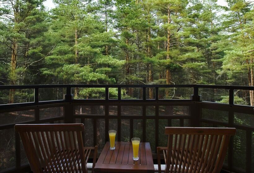 חדר סטנדרט נוף לגינה, Asteria Family Resort Belek