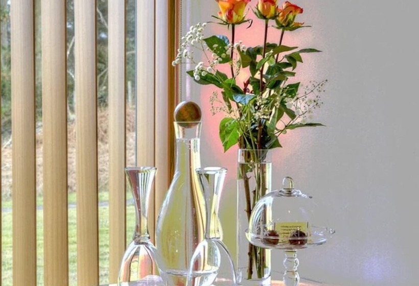 オーシャンビューデラックスルーム, Ardtorna