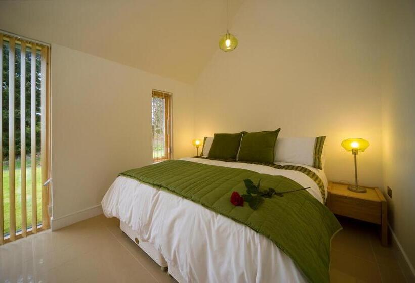 キングサイズベッドのスタンダードルーム, Ardtorna