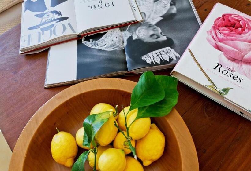 سوییت جونیور, Can Roses