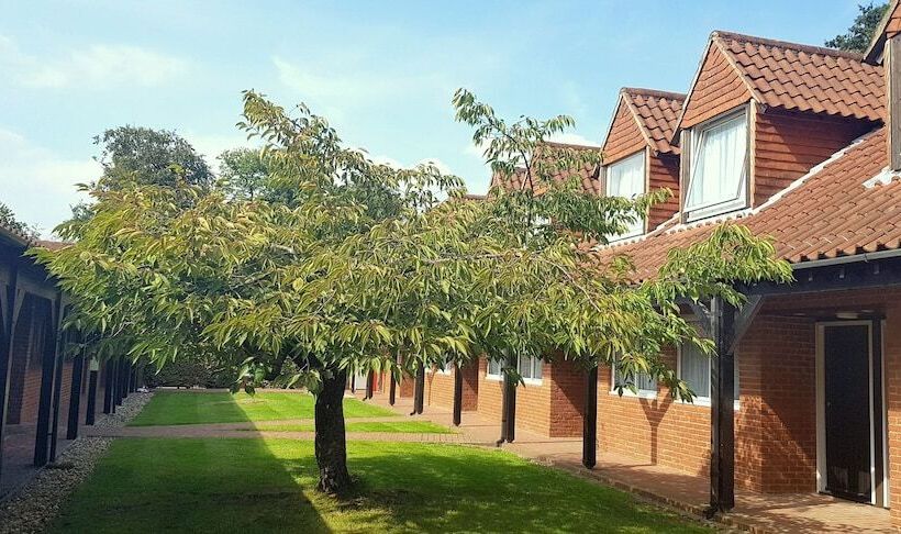 غرفة عائلية, New Place