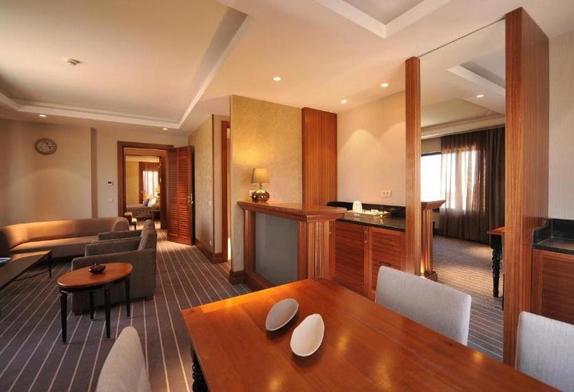 سوئیت پرزیدنت, Tugcan