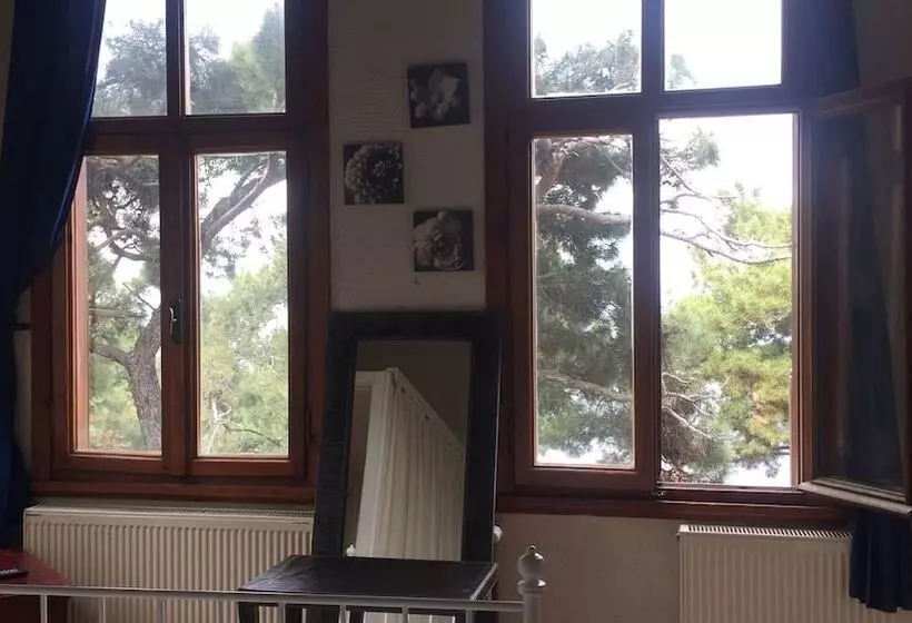 Deluxe-huone, Kosk Orman Butik Otel